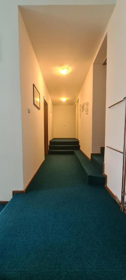 Guest House Tiha Noc Žabljak Eksteriør billede