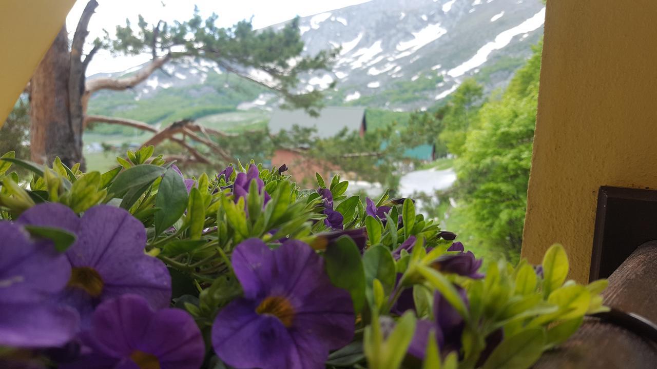 Guest House Tiha Noc Žabljak Eksteriør billede